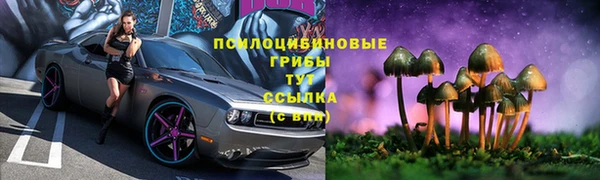 гидропоника Богородск
