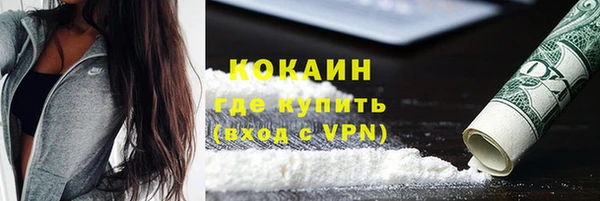гашиш Богданович