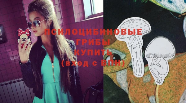 2c-b Белокуриха