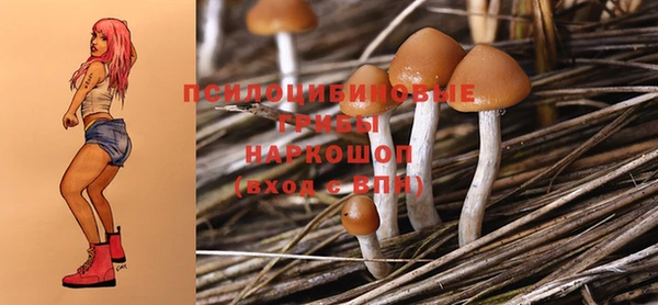 2c-b Белокуриха